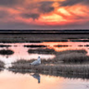 Meet your Posher, Debra